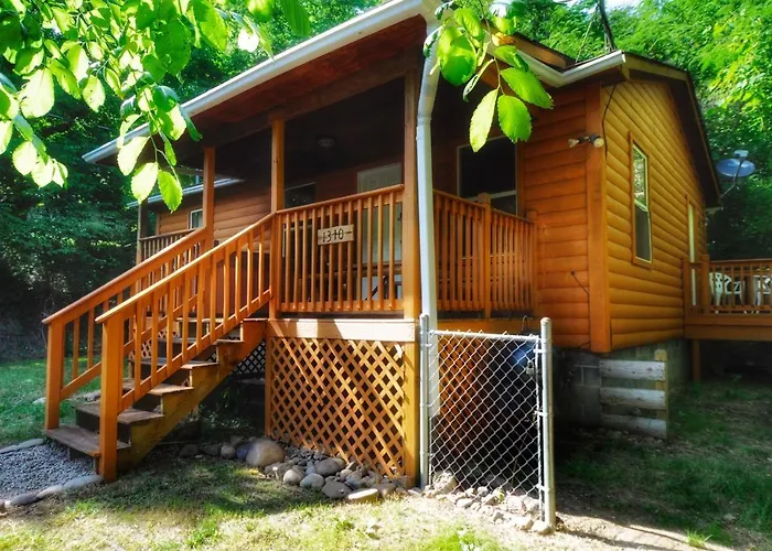 Remodelled Cabin! Great Location!